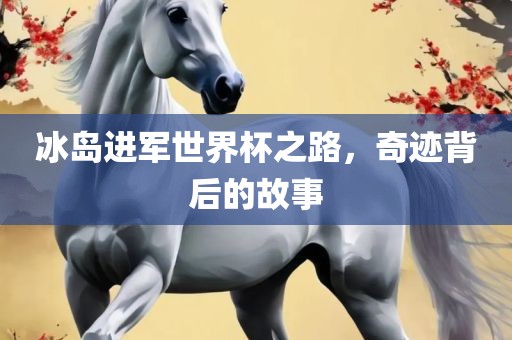 冰岛进军世界杯之路，眉山市正发家政服务有限公司奇迹背后的故事