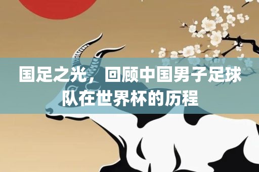 国足之光，回顾中国男子足球队在世界杯的历程