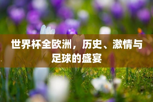 世界杯全欧洲，历史、激情与足球的盛宴眉山市正发家政服务有限公司