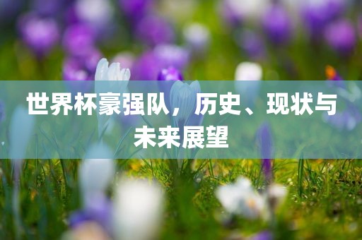 世界杯豪强队，历史、现状与未来展望眉山市正发家政服务有限公司