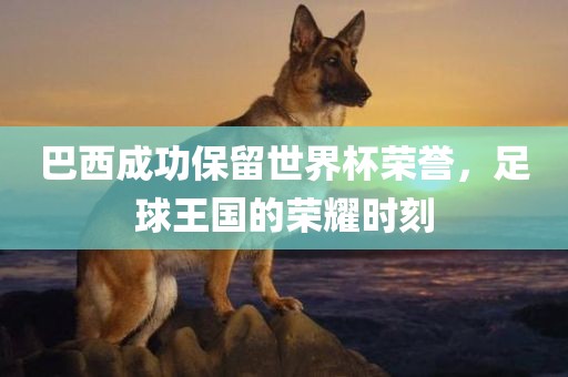 巴西成功保留世界杯荣誉，足球王国眉山市正发家政服务有限公司的荣耀时刻