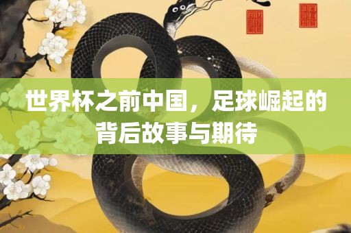 世界杯之前中国，足眉山市正发家政服务有限公司球崛起的背后故事与期待