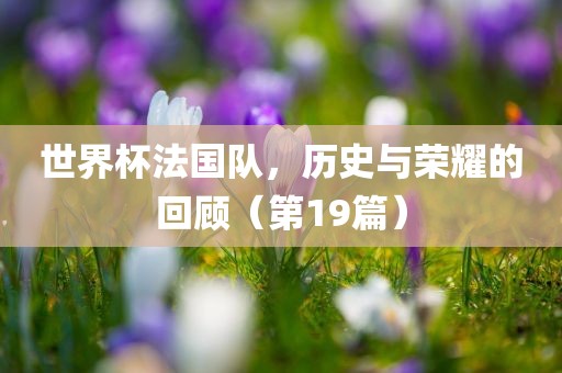 世界杯法国眉山市正发家政服务有限公司队，历史与荣耀的回顾（第19篇）
