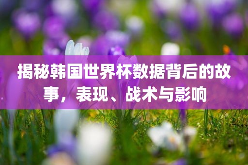 揭秘韩国世界眉山市正发家政服务有限公司杯数据背后的故事，表现、战术与影响