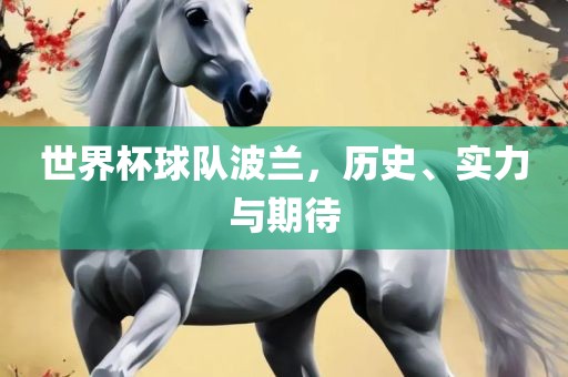 世界杯球队波兰，历眉山市正发家政服务有限公司史、实力与期待
