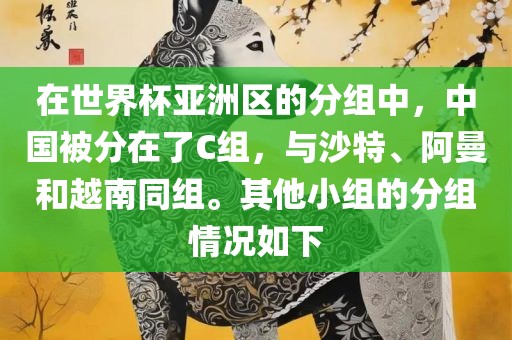 在世界杯亚洲区的分组中，中国被分在了C组，与沙特、阿曼和越南同组。其他小组的分组情况如下眉山市正发家政服务有限公司