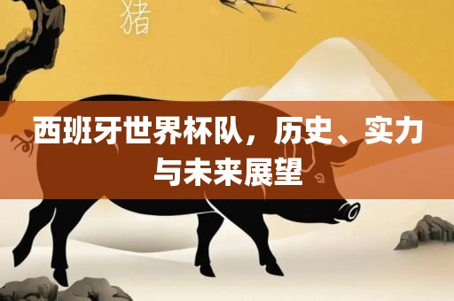 西班牙世界杯队，历史、实力与未来展望眉山市正发家政服务有限公司
