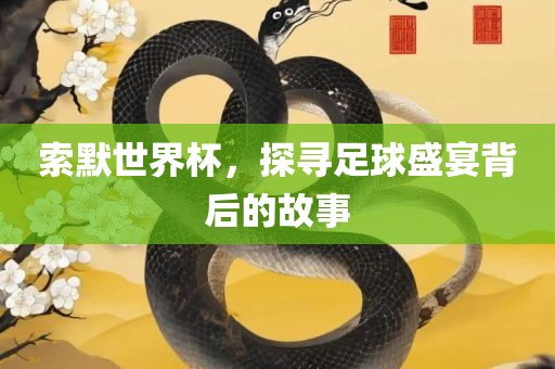 索默世界杯，探寻足球盛宴背后的故事眉山市正发家政服务有限公司