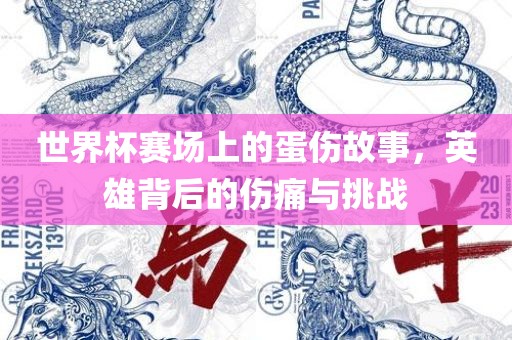 世界杯赛场上的蛋伤故事，英雄背后的伤痛与挑战眉山市正发家政服务有限公司