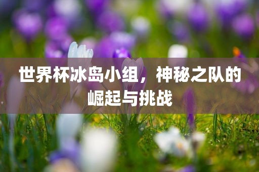 世界杯冰岛小组，神秘之队的崛起与挑战眉山市正发家政服务有限公司