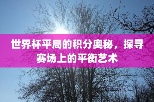 世界杯平局的积分奥秘，探寻赛场上的平衡艺术眉山市正发家政服务有限公司