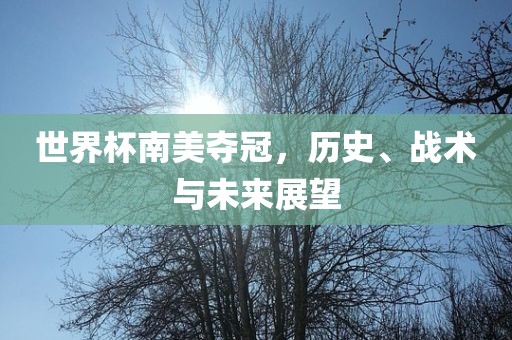 世界杯南美夺冠，历史、战术与未来展望眉山市正发家政服务有限公司