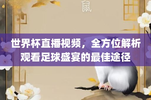 世界杯直播视频，眉山市正发家政服务有限公司全方位解析观看足球盛宴的最佳途径