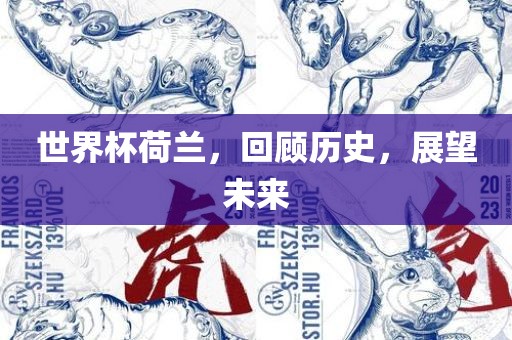 世界杯荷兰，回顾历史，展望未来