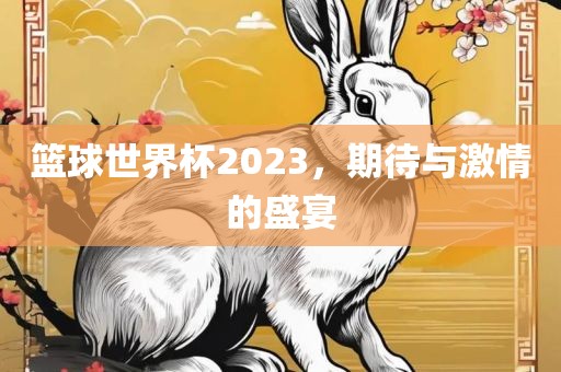 篮球世界杯2023，期待与激情的盛宴眉山市正发家政服务有限公司