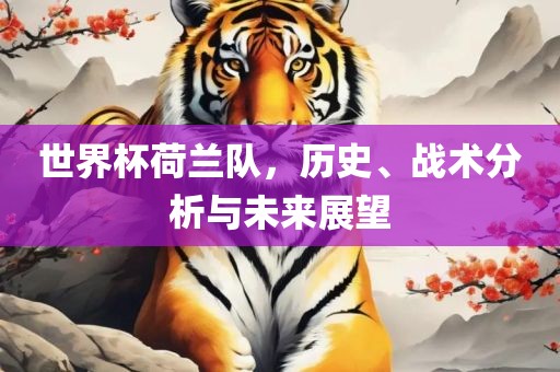 世界杯荷兰队，历史、战术分析与未来展望