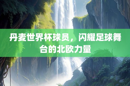 丹麦世界杯球员，闪耀足球舞台的北欧力量眉山市正发家政服务有限公司