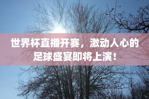 世界杯直播开赛，激动人心的足球盛宴即将上演！眉山市正发家政服务有限公司