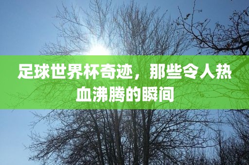 足球世界杯奇迹，那些令人热血沸腾的瞬间眉山市正发家政服务有限公司