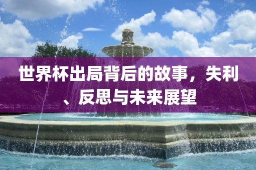 世界杯出局背后的故事，失利、反思与眉山市正发家政服务有限公司未来展望
