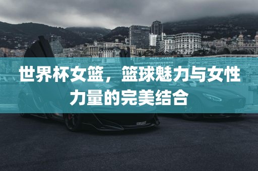世界杯女篮，篮球魅力与女性力量的完美结合眉山市正发家政服务有限公司