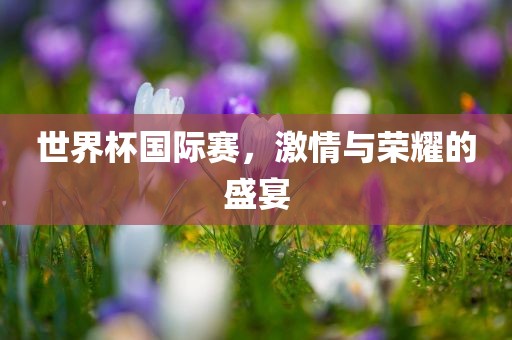 世界杯国际赛，激情与荣耀的盛宴