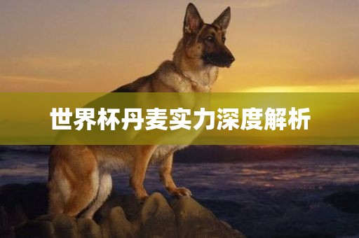 tangchengying