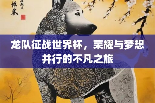 龙队征战世界杯，荣耀与梦想并行的不凡之旅