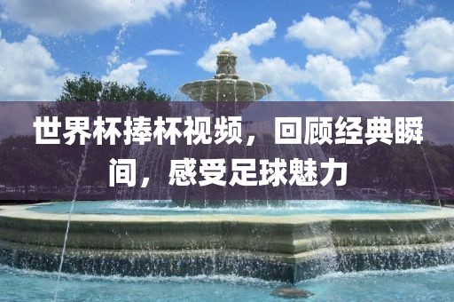 世界杯捧杯视频，回顾经典瞬间，感受足球魅力