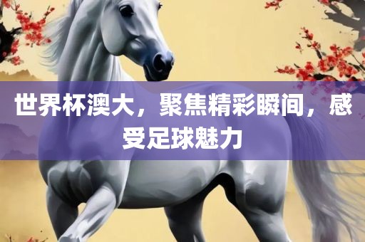 世界杯澳大，聚焦精彩瞬间，感受足球魅力