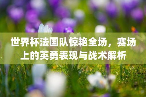 世界杯法国队惊艳全场，赛场上的英勇表现与战术解析