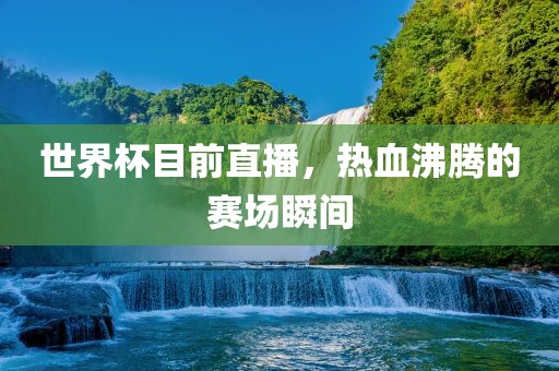世界杯目前直播，热血沸腾的赛场瞬间