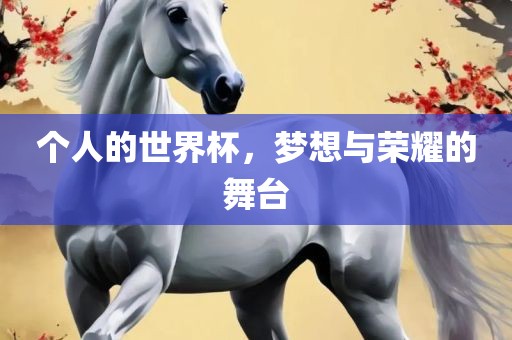 个人的世界杯，梦想与荣耀的舞台
