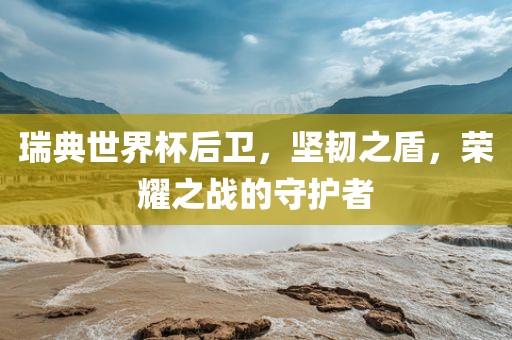 瑞典世界杯后卫，坚韧之盾，荣耀之战的守护者
