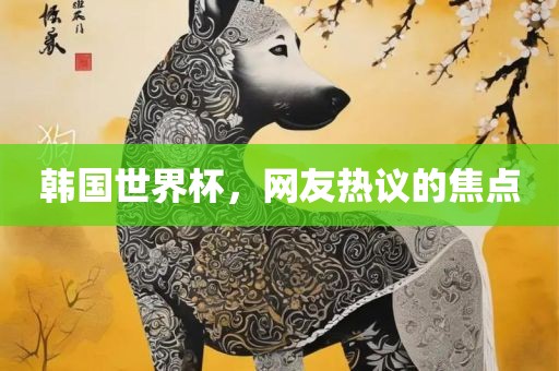韩国世界杯，网友热议的焦点