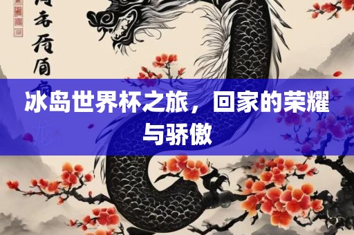 冰岛世界杯之旅，回家的荣耀与骄傲