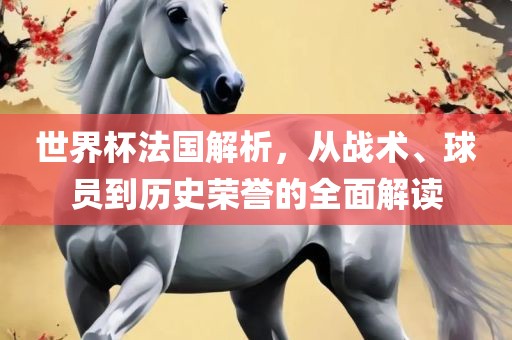 世界杯法国解析，从战术、球员到历史荣誉的全面解读