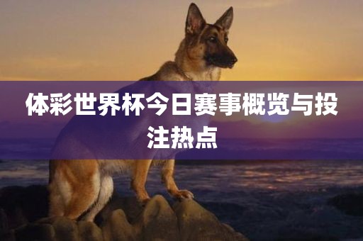 体彩世界杯今日赛事概览与投注热点