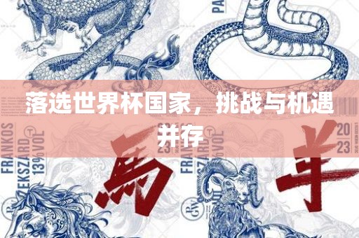 落选世界杯国家，挑战与机遇并存