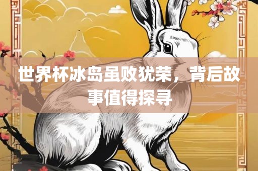 世界杯冰岛虽败犹荣，背后故事值得探寻