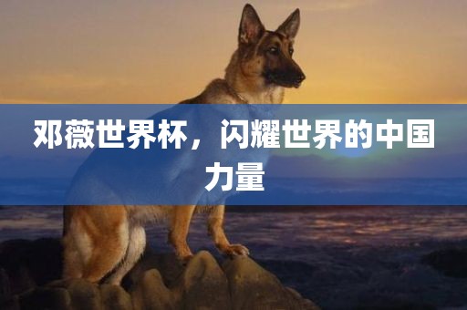 邓薇世界杯，闪耀世界的中国力量