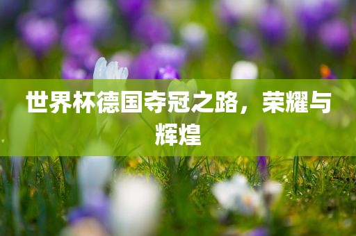 世界杯德国夺冠之路，荣耀与辉煌