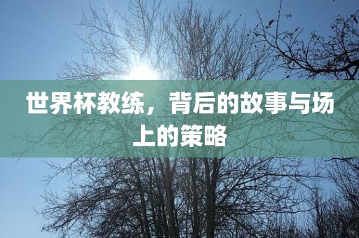 世界杯教练，背后的故事与场上的策略