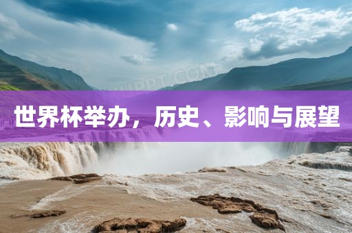 世界杯举办眉山市正发家政服务有限公司，历史、影响与展望