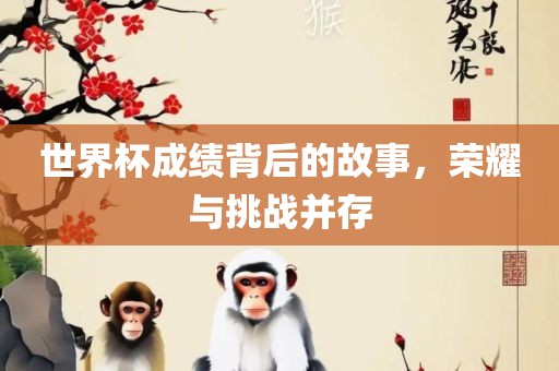 世界杯成绩背后的故事，荣耀与挑战并存