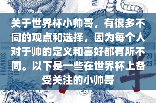 关于世界杯小帅哥，有很多不同的观点和选择，因为每个人对于帅的定义和喜好都有所不同。以下是一些在世界杯上备受关注的小帅哥