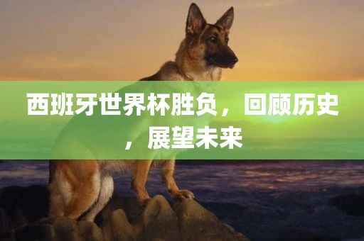 西班牙世界杯胜负，回顾历史，展望未来