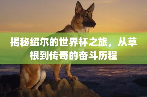 揭秘绍尔的世界杯之旅，从草根到传奇的奋斗历程