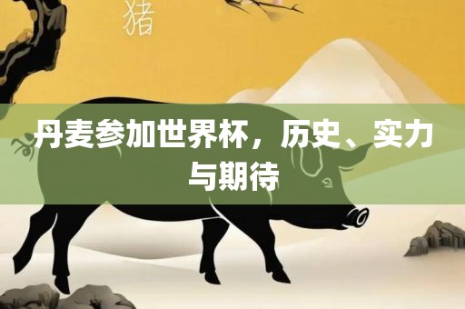 丹麦参加世界杯，历史、实力与期待