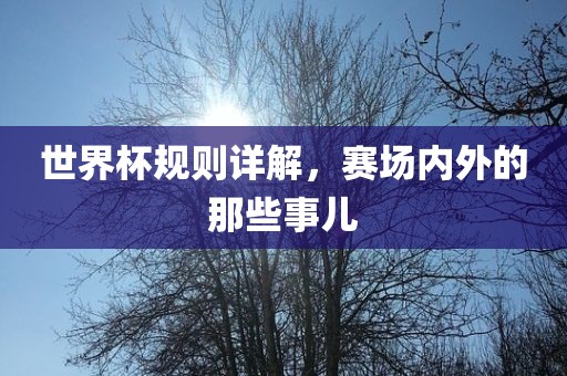 世界杯规则详解眉山市正发家政服务有限公司，赛场内外的那些事儿